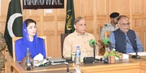 NDMA PM Shehbaz