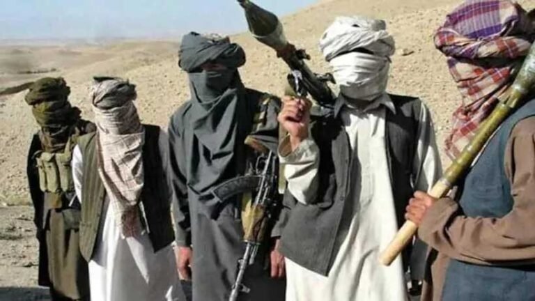 US designates BLA, Majeed Brigade as terrorist outfits