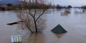 PDMA warns of possible flooding in Punjab rivers from August 13