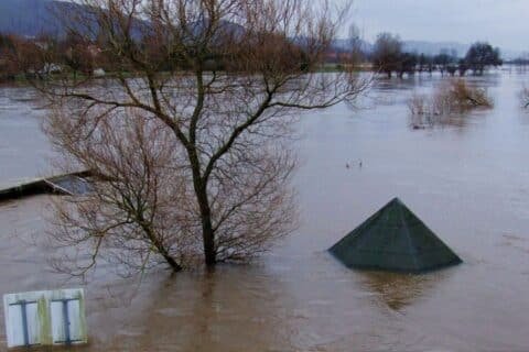 PDMA warns of possible flooding in Punjab rivers