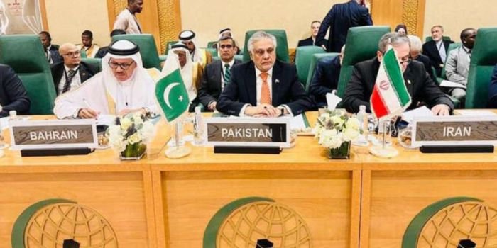 Pakistan FM Dar warns ‘Greater Israel’ plan endangers regional peace, urges Gaza ceasefire at OIC