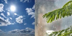 Pakistan weather update: hot, humid conditions to continue, isolated thunderstorms forecast for northern, hilly areas