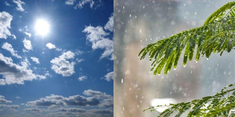 Pakistan weather update: hot, humid conditions to continue, isolated thunderstorms forecast for northern, hilly areas