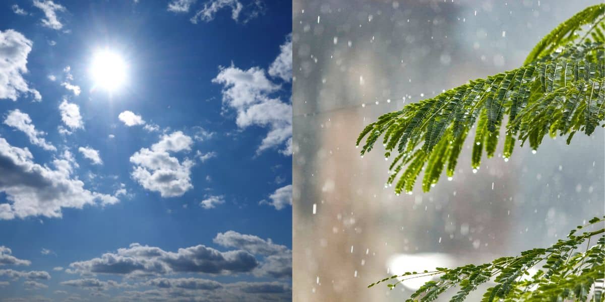 Pakistan weather update: hot, humid conditions to continue, isolated thunderstorms forecast for northern, hilly areas