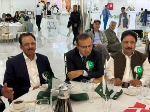 14 August, Pakistan, Denmark, Overseas Pakistanis, Independence day