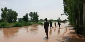 Punjab PDMA shares emergency contact for Jalalpur Pirwala residents