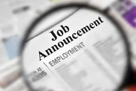 Jobs announced in KP
