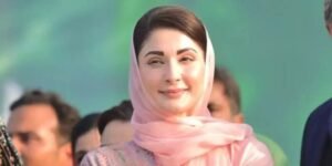 Punjab bans logging, timber auctions