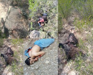 Pakistan–Afghanistan border