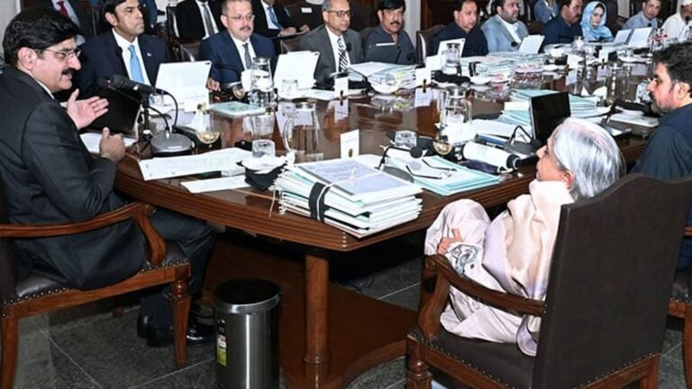  The provincial government approved the wheat release policy, also the important decision regarding the price of flour