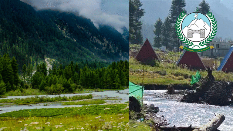 Forest Swallowing Hotel Mafia in Kamrat: NOC Issued to 40 Illegal Hotels Out of 74, Forest Department Inquiry Indicates