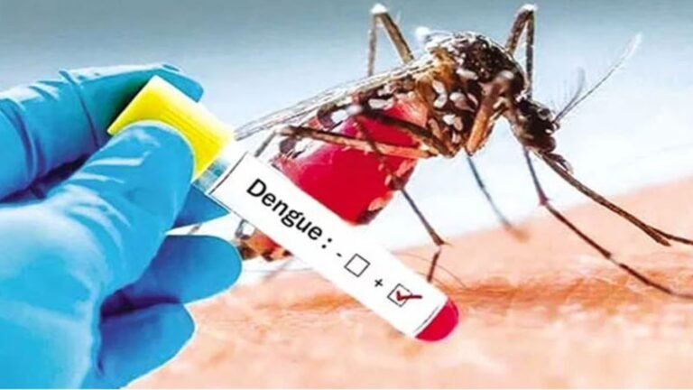 Dengue Outbreak , Virus Confirmed in 972 People