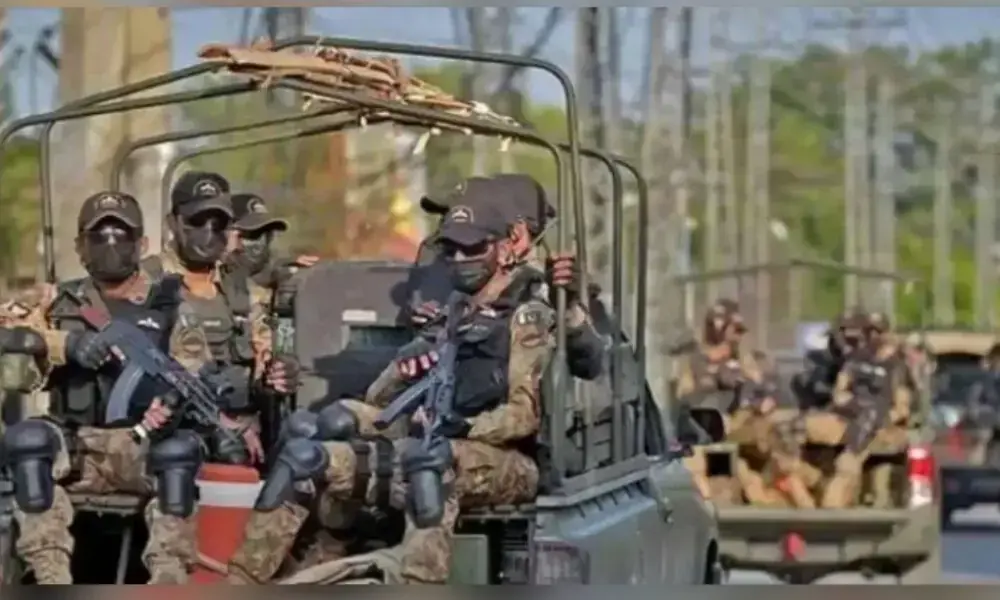 forces killed 13 militants