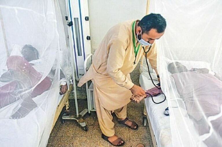 Dengue cases
