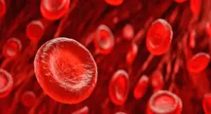 blood cells