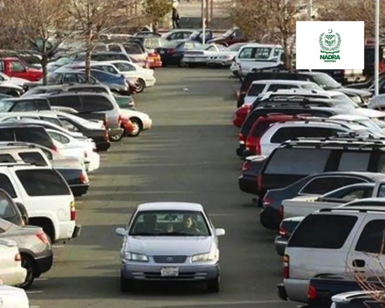vehicle ownership
