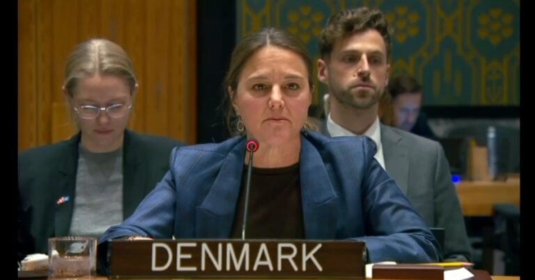 TTP a major threat from Afghan soil, says UN sanctions chair