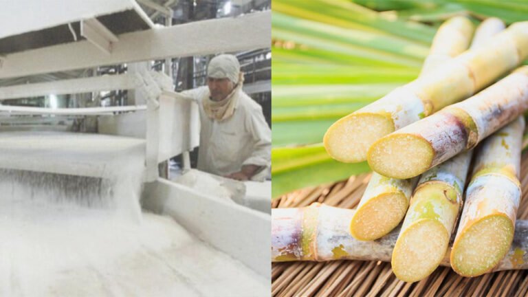 Sugar Prices