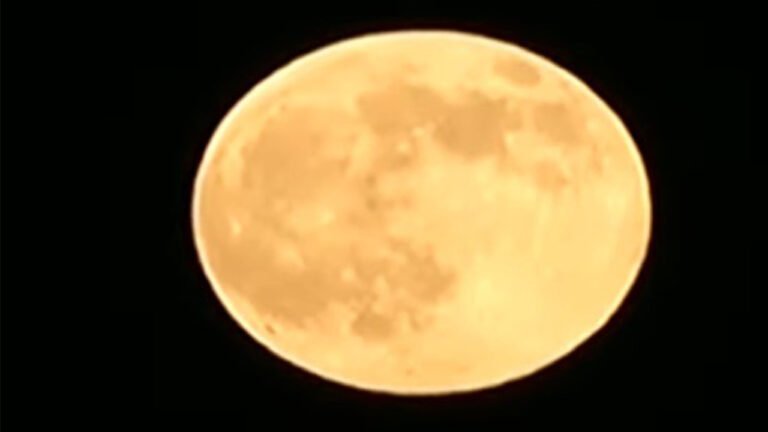Beaver Supermoon
