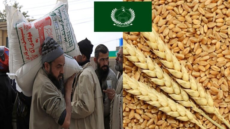 wheat shortage