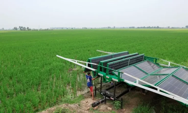 Solar Panel
