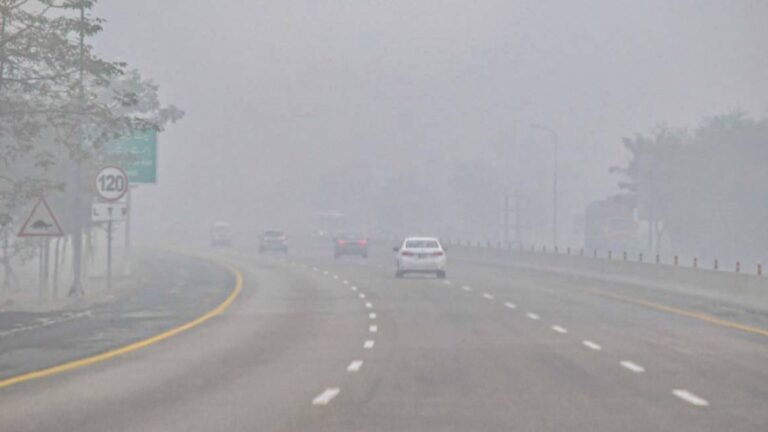 Fog