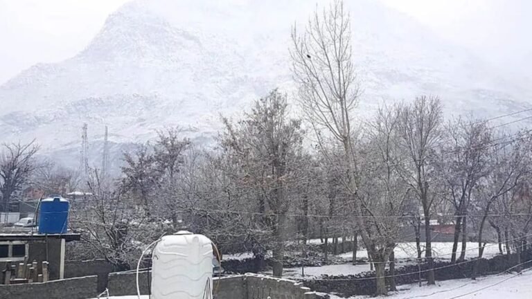 Rain and snowfall