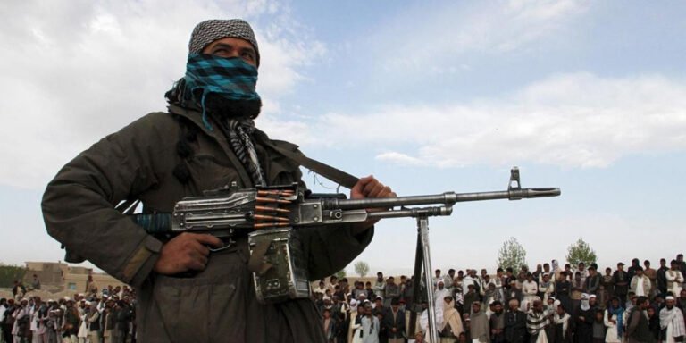 TTP militant