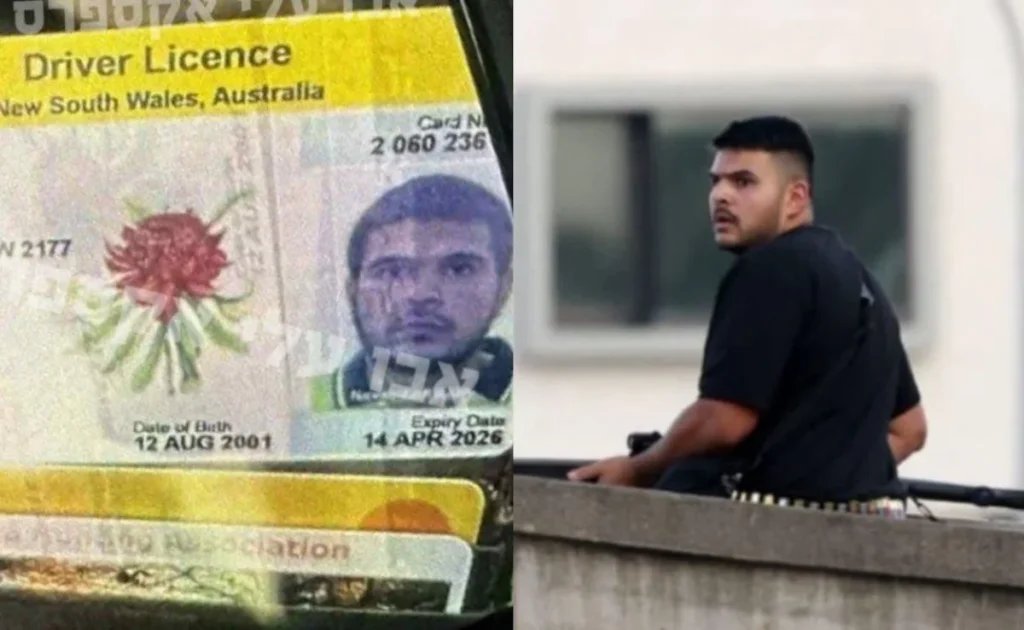 Bondi beach shooters