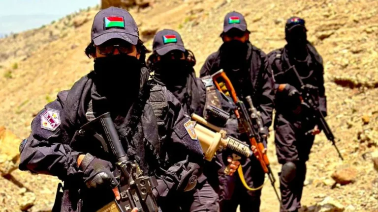 BLA propaganda busted again