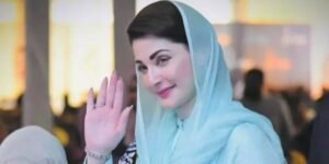 Maryam nawaz criticizes sohail afridi