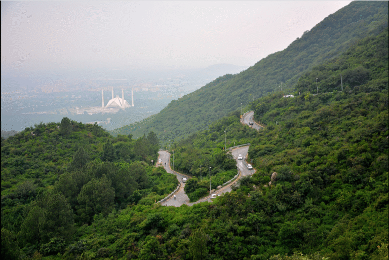 Margalla restoration drive: 50,000 trees to be planted on 14 February