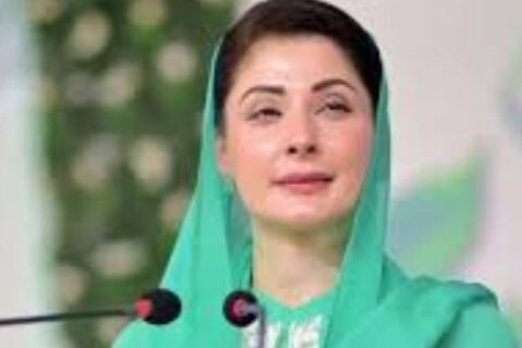 CM Punjab,Maryam Nawaz Cybercrime Unit