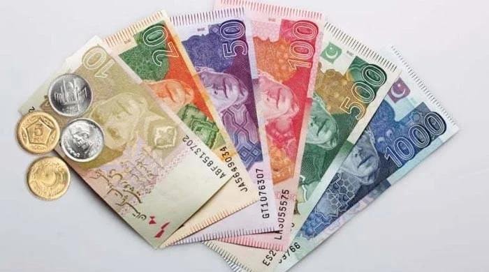 fresh currency notes