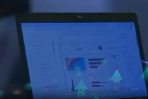 Pakistani freelancers