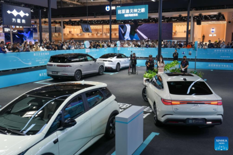 China EV market