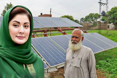 free solar panel scheme