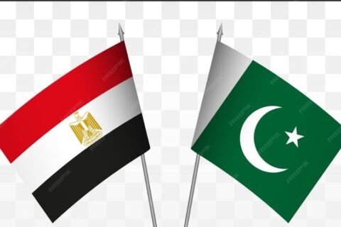 Egyptian song in Pakistan honor