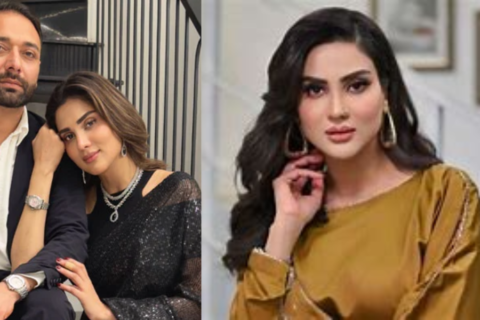 Fiza Ali live show video