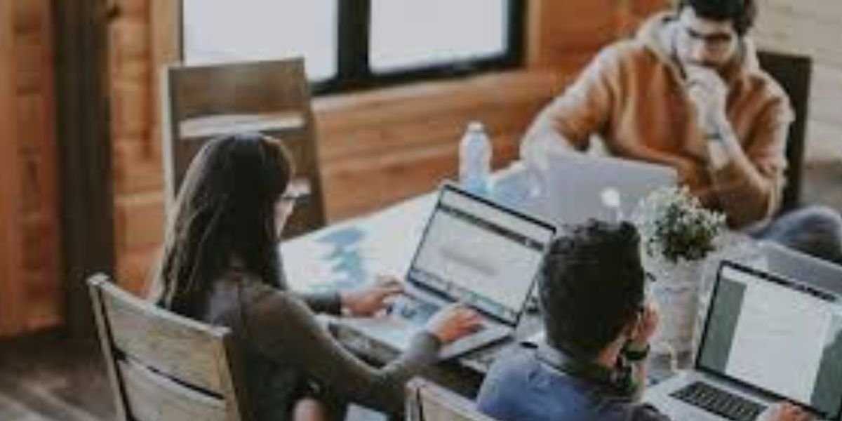 State Bank Pakistan, Pakistani freelancers