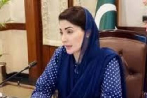 Punjab govt digital reporting apps