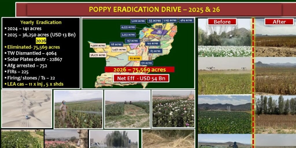 ANF anti poppy drive in Balochistan