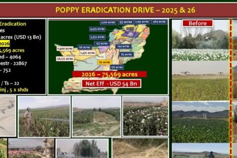 ANF anti poppy drive in Balochistan