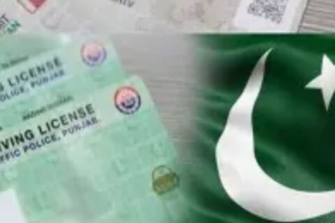 driving license procedure