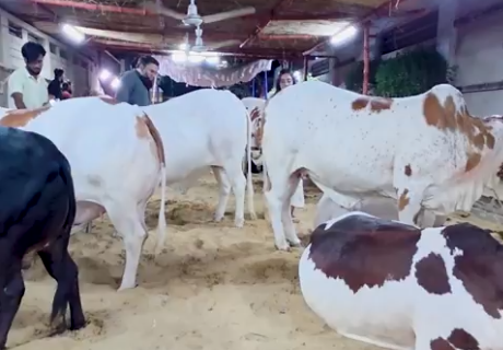 Eid al-Adha