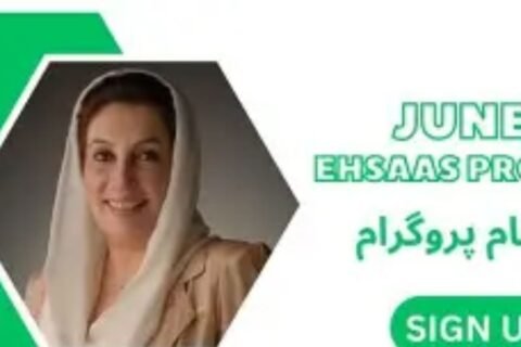 IMF demand In BISP amount increase
