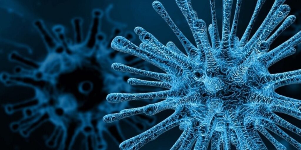 PM hepatitis control program