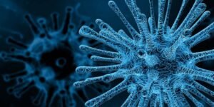 PM hepatitis control program