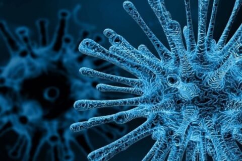 PM hepatitis control program