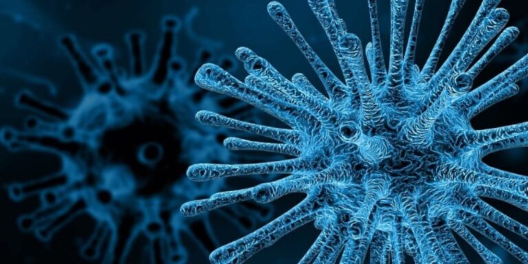 PM hepatitis control program